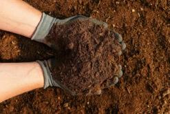 Rolawn Beds & Borders Topsoil 500 Litres Bulk Bag -Home Building Materials Store t.tlx GVGgvX4.BGgDcfY7IG.GpP6GH. 77103.1700532161