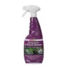 Azpects EasyCare Ornament & Statue Cleaner 750ml (2691)