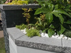 Argent Concrete Coping & Edging Dark 600 X 136 X 50mm (50 Pack)
