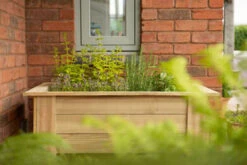 Forest Garden Kitchen Garden Planter -Home Building Materials Store t.tlx oeonz5h.Xoninj XGo.omrqoQ. 59516.1676974371