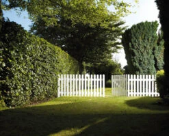 Charltons Henley Wooden Garden Gate 900 X 900mm -Home Building Materials Store t.tlx uxuicDk.muixElHwyu.u6LyuJ. 87329.1687587594