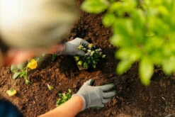 Rolawn Beds & Borders Topsoil 500 Litres Bulk Bag -Home Building Materials Store t.tlx vovXVqp.6vXTxKbbLv.v Ngvt. 03064.1700532161