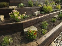 Brown Charred Brushwood UC3u Treated Garden Sleeper 125 X 250 X 2400mm -Home Building Materials Store t.tlx xbxTYZf.ixTbHltc5x.xCKDx1 . 88087.1699922231