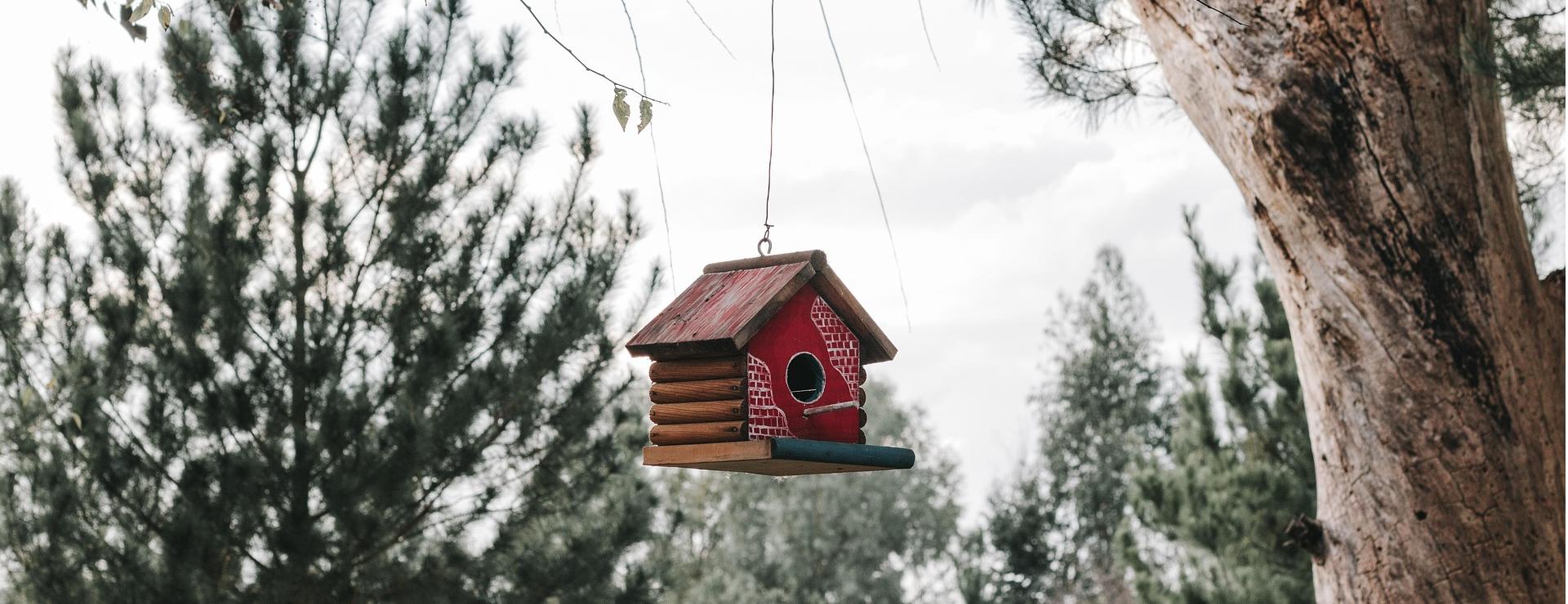 Home Building Materials Store -Home Building Materials Store decoration 5060006 1920